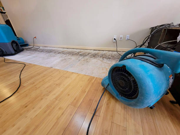 Reliable Basement Flood Cleanup contractor in Bentonville, OH by Hirex Water Damage