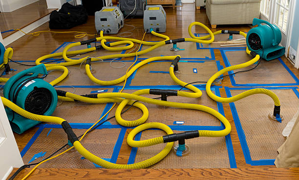 Professional Basement Flood Cleanup technician working in Bentonville, OH